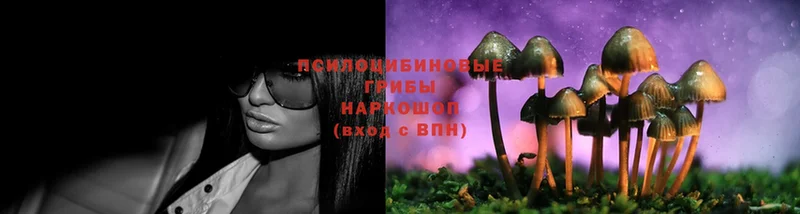 Псилоцибиновые грибы Magic Shrooms  Жирновск 