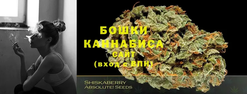 Конопля SATIVA & INDICA  Жирновск 